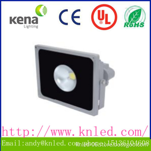IP65,20W,30W meanwell driver LED flood light